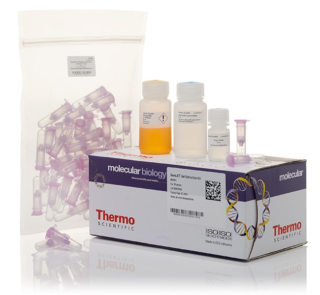 Thermo Scientific™ Kit d’extraction de gel GeneJET