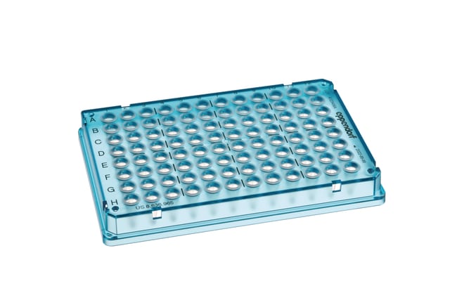 Eppendorf&trade;&nbsp;twin.tec&trade; Trace PCR Plates - PCR Plates