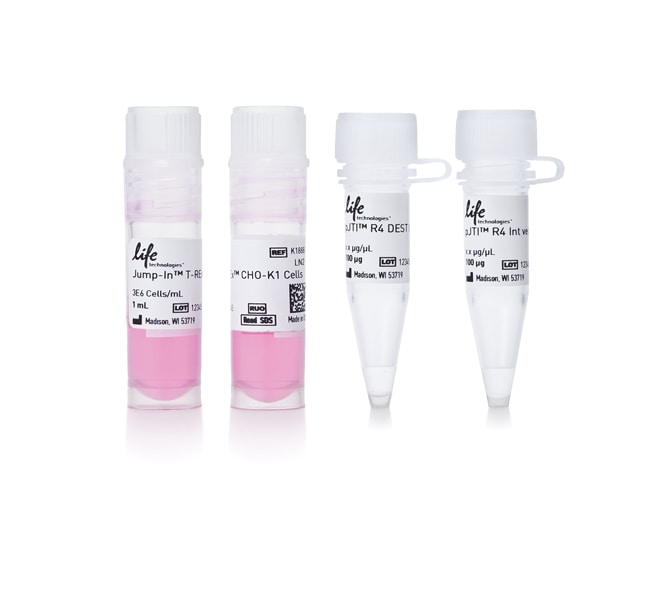 Thermo Scientific&trade;&nbsp;Jump In&trade; T-REx&trade; CHO-K1 Kit