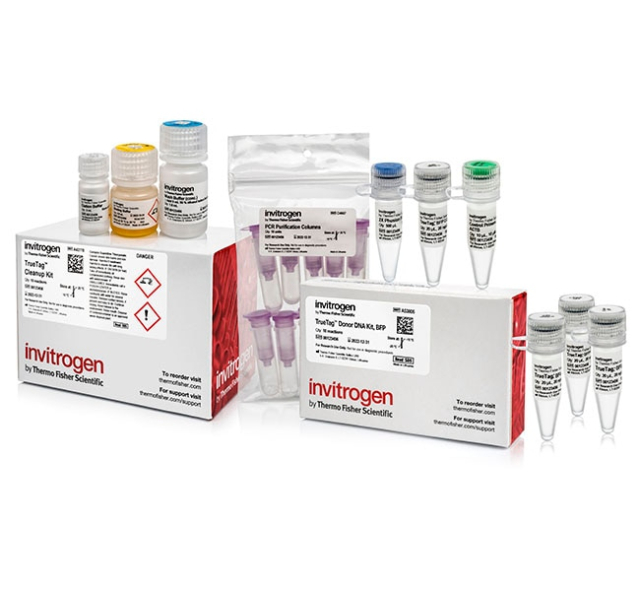 Invitrogen&amp;trade;&amp;nbsp;Kit d’ADN de donneur TrueTag&amp;trade;, BFP