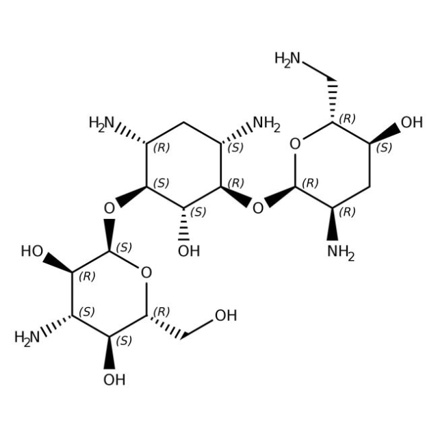  Thermo Scientific Chemicals Tobramycine, 97 %