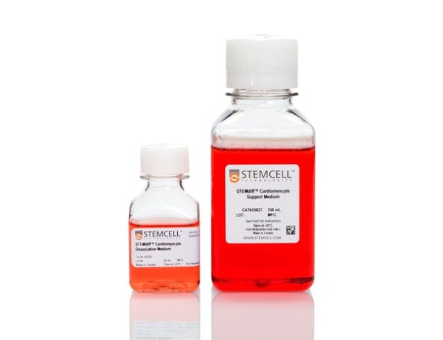 STEMCELL Technologies&amp;nbsp;STEMdiff&amp;trade; Cardiomyocyte Dissociation Kit