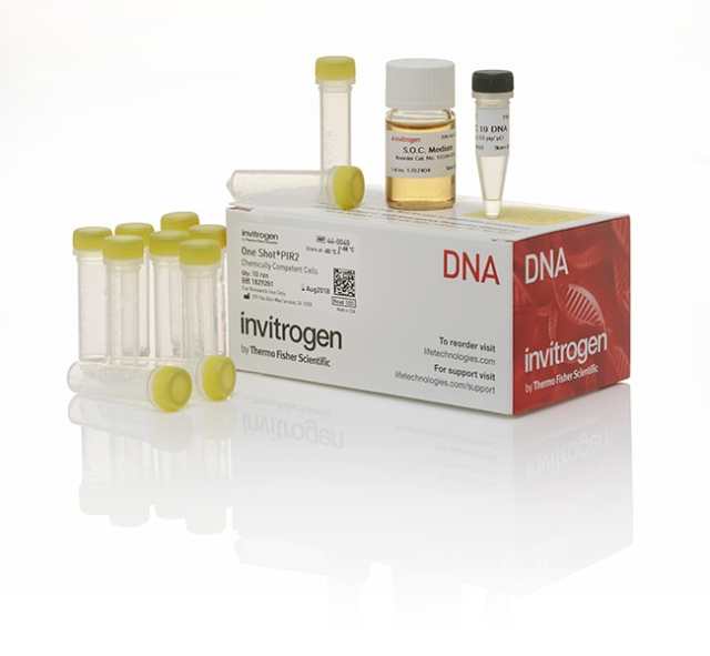 Invitrogen&amp;trade;&amp;nbsp;One Shot&amp;trade; PIR2 Chemically Competent &lt;i&gt;E. coli&lt;/i&gt;