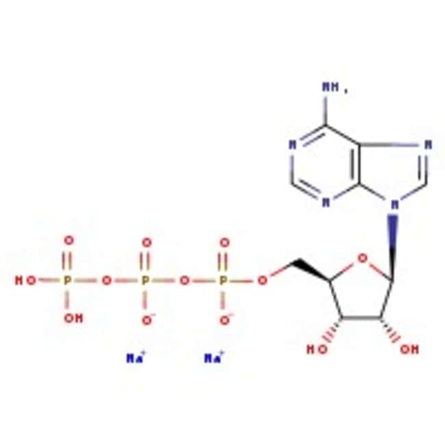 Thermo Scientific Chemicals Adénosine-5’-triphosphate, sel disodique hydraté, 99 %, eau