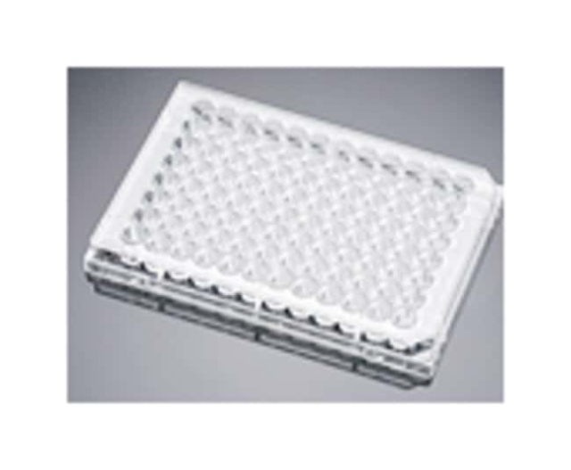  Corning™ Plaques multipuits poly-L-lysine BioCoattrade;