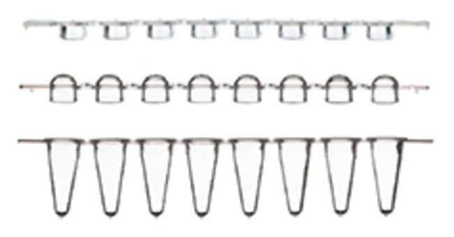 Thermo Scientific™ Low Profile Tubes and Domed Caps, strips of 8, Sustain™ Series