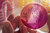 Thermo Scientific™ Mandrin à valve Schrader Oxoid™ plus clip et manomètre pour système anaérobie