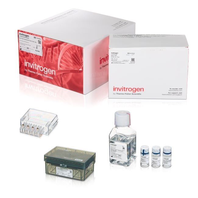 Invitrogen™ Neon™ NxT Electroporation System 10 μL Kit with 8-Channel Tubes