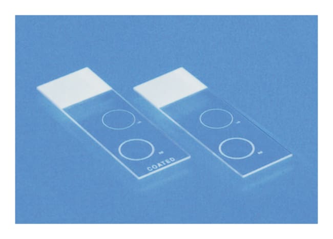 Epredia™ Lames Shandon™ Cytoslides™ doubles