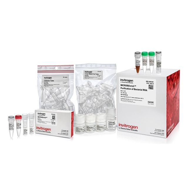 Invitrogen&amp;trade;&amp;nbsp;MICROB&lt;i&gt;Enrich&lt;/i&gt;&amp;trade; Kit