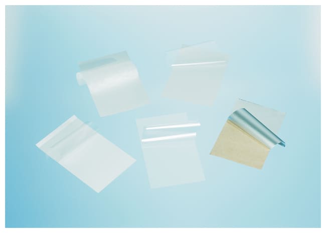 Greiner Bio-One&nbsp;SILVERseal&trade; Adhesive Microplate Sealer