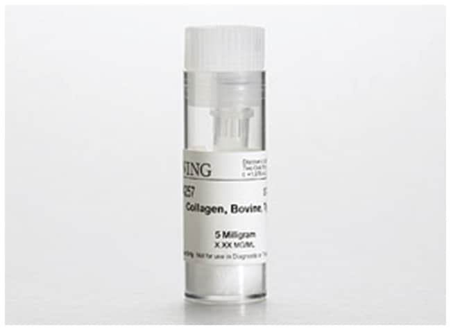 Corning&trade;&nbsp;Collagen II, Bovine