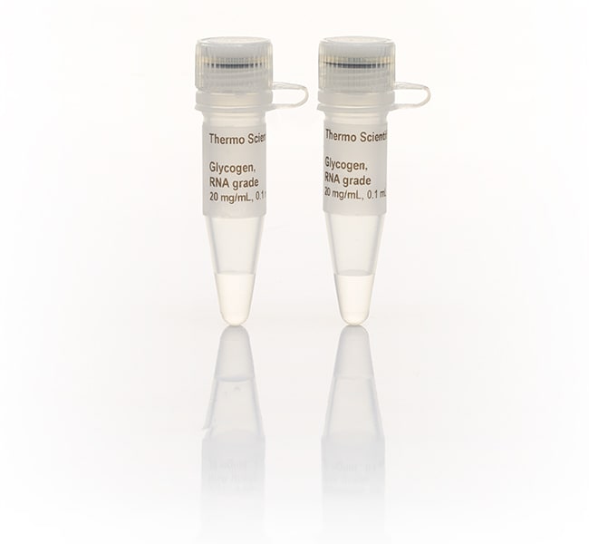 Thermo Scientific&trade;&nbsp;Glycogène, qualité ARN