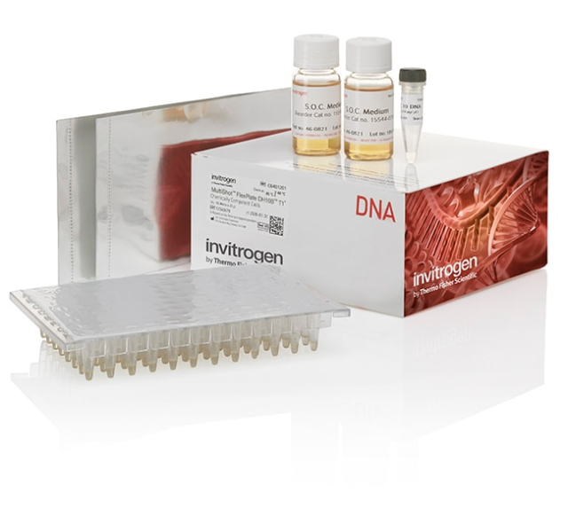 Invitrogen&amp;trade;&amp;nbsp;MultiShot&amp;trade; FlexPlate DH10B T1&lt;sup&gt;R&lt;/sup&gt; Competent Cells