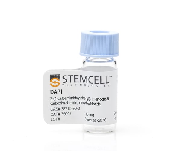 STEMCELL Technologies&nbsp;DAPI (Hydrochloride)