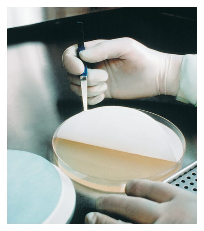 Merck&nbsp;Membranes de transfert en NC Immobilon