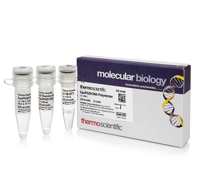 Thermo Scientific&trade;&nbsp;ADN polymérase EquiPhi29&trade;