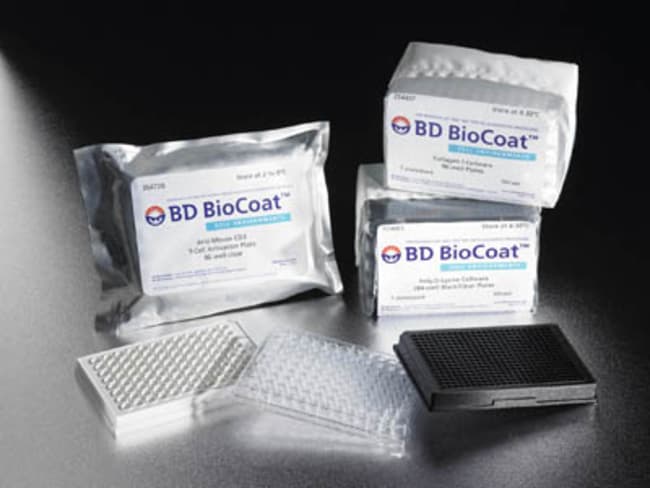 Falcon&trade;&nbsp;Microplaque BioCoat&trade; à fond plat, avec 384 puits, traitée en collagène de type I