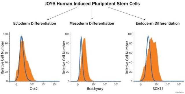 R&amp;amp;D Systems&amp;trade;&amp;nbsp;Human Pluripotent Stem Cell Functional Identification Kit