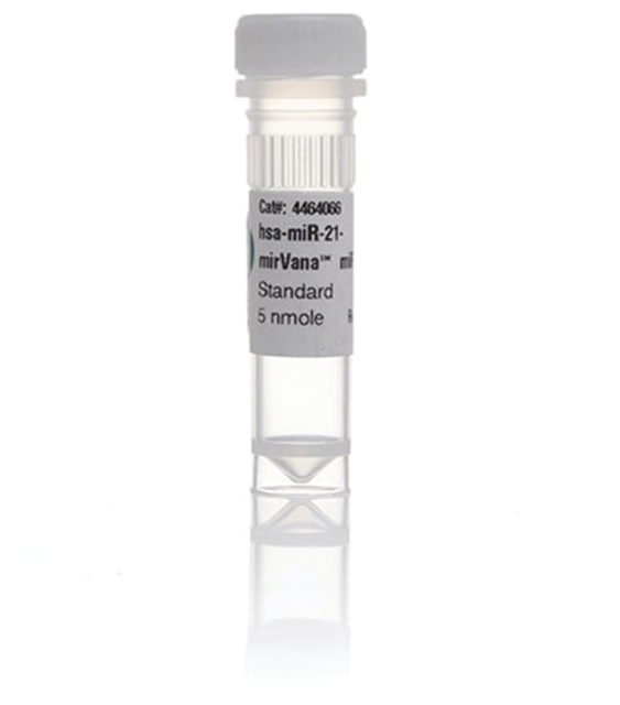 Ambion&trade;&nbsp;<i>mir</i>Vana&trade; miRNA Mimic