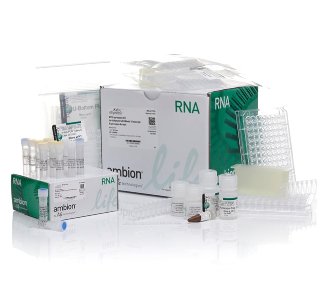 Invitrogen™ WT Expression Kit