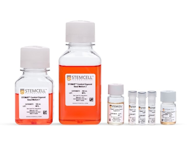 STEMCELL Technologies&amp;nbsp;STEMdiff&amp;trade; Cerebral Organoid Kit