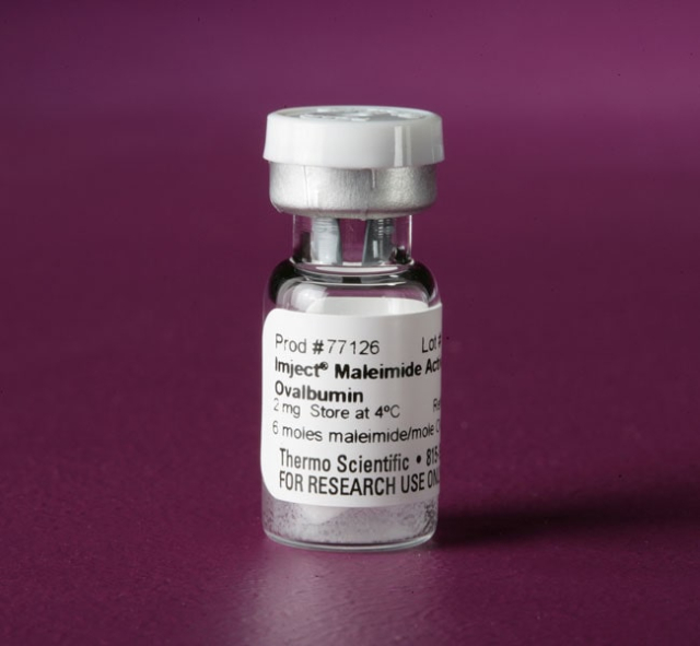 Thermo Scientific&amp;trade;&amp;nbsp;Imject&amp;trade; Maleimide-Activated Ovalbumin