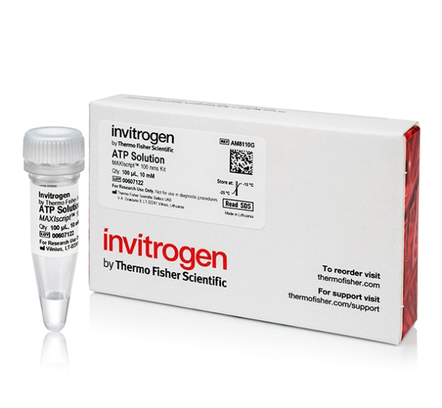 Invitrogen&amp;trade;&amp;nbsp;ATP Solution (10 mM)