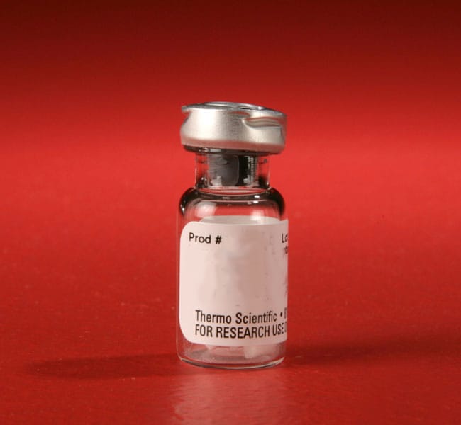 Thermo Scientific&trade;&nbsp;Pierce&trade; Alkaline Phosphatase, Biotinylated