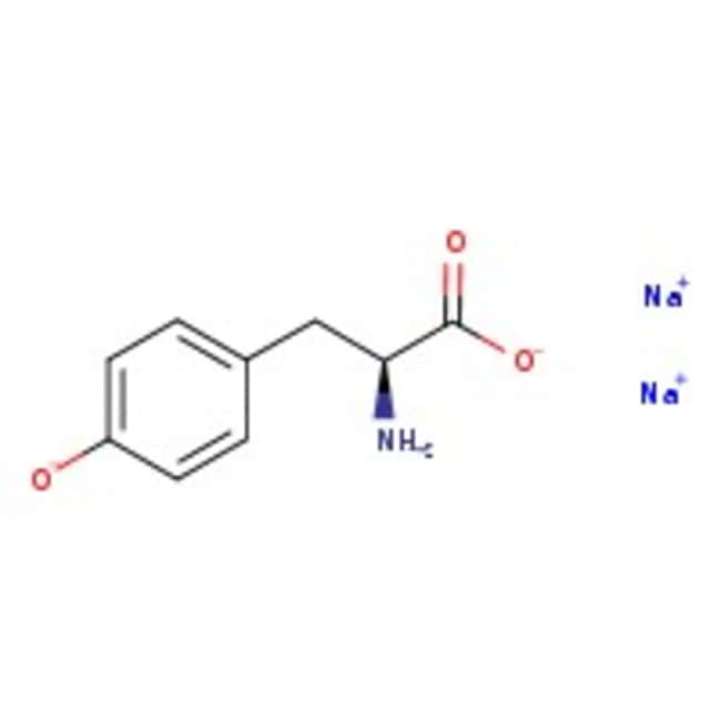 Thermo Scientific Chemicals Sel disodique L-Tyrosine dihydraté, 99 %