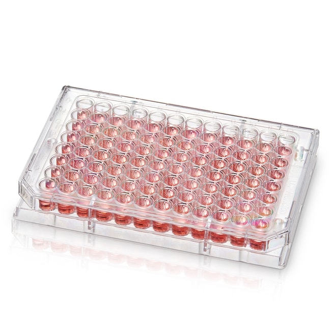Thermo Scientific&trade;&nbsp;Microplaque 96 puits Nunc&trade; Microwell avec surface Nunclon&trade; Supra