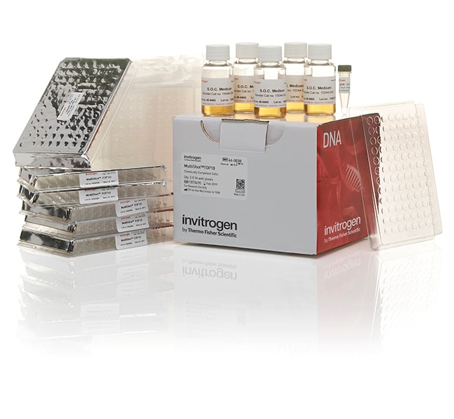 Invitrogen™ MultiShot™ TOP10 Chemically Competent <i>E. coli</i>
