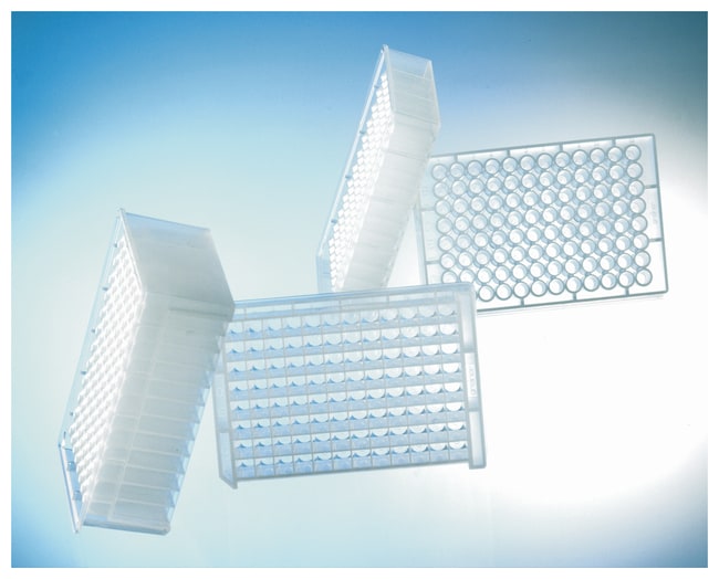 Greiner Bio-One&nbsp;Plaque de stockage 0,5 ml à 96 puits profonds avec fond conique MASTERBLOCK&trade;