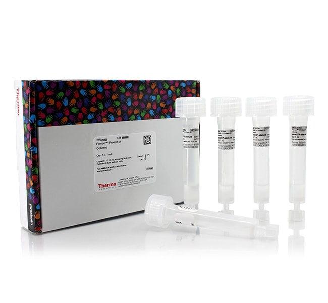 Thermo Scientific™ Pierce™ Protein A Columns, 1 mL