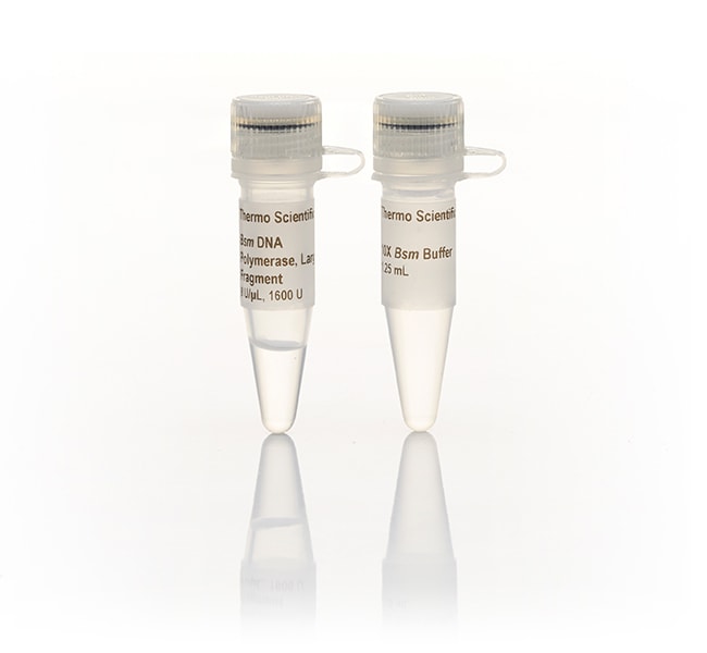 Thermo Scientific&trade;&nbsp;Bsm DNA Polymerase, large fragment (8 U/&mu;L)