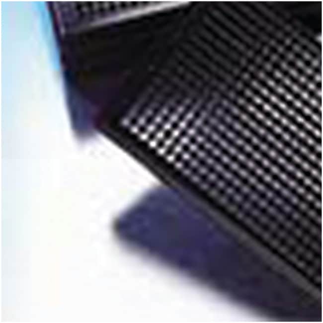 Corning&trade;&nbsp;Microplaque à fond plat CellBIND&trade; à 384 puits, traitée par CellBIND, avec bride basse