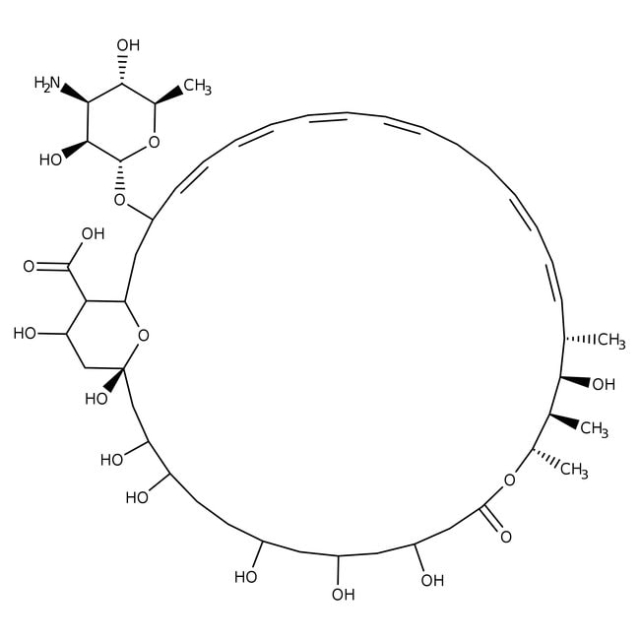  Nystatine, MP Biomedicals™