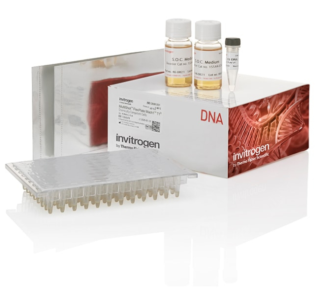 Invitrogen&amp;trade;&amp;nbsp;MultiShot&amp;trade; FlexPlate Mach1&amp;trade; T1&lt;sup&gt;R&lt;/sup&gt; Competent Cells