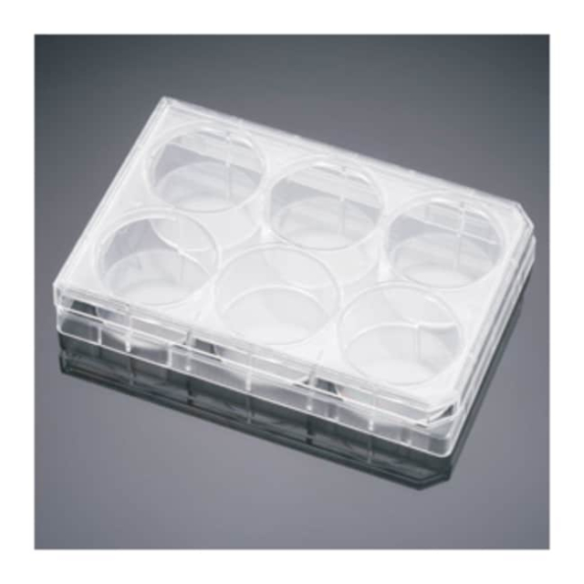 Corning&amp;trade;&amp;nbsp;Plaques multipuits PureCoat&amp;trade; carboxyle