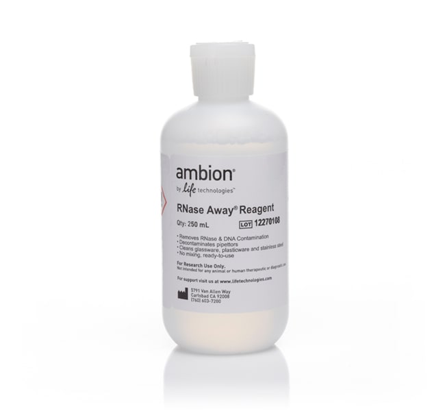 Invitrogen™ Réactif de décontamination RNase<i> AWAY</i>™
