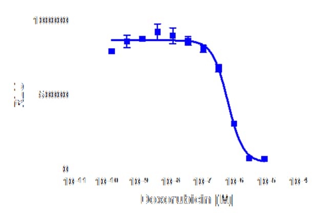 DiscoverX&nbsp;Doxorubicin Hydrochloride