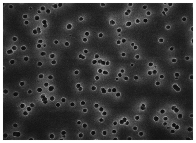 Merck&amp;nbsp;Isopore&amp;trade; Membrane Filters, 5 &amp;mu;m