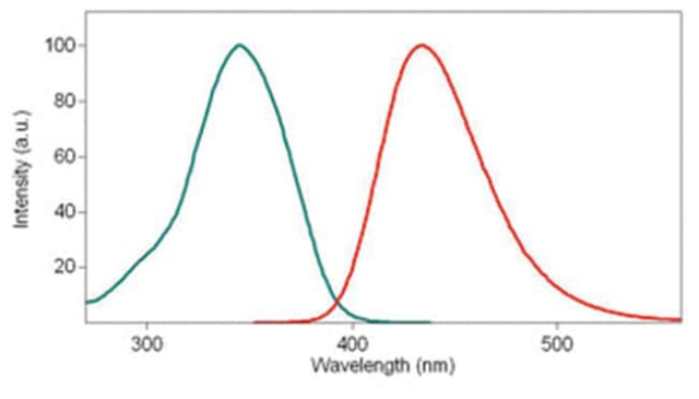 Abnova&amp;trade;&amp;nbsp;Colorant fluorescent Phalloïdine 350-I