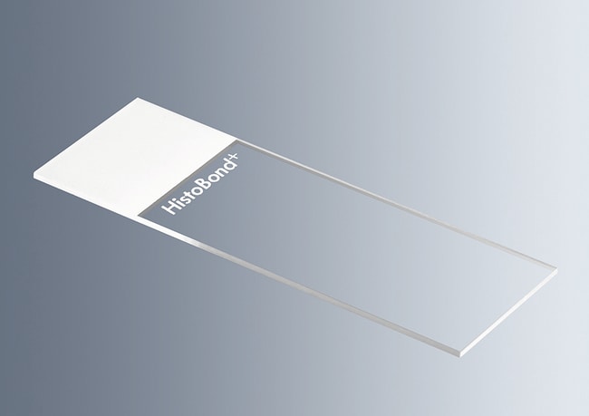 Marienfeld Superior&trade;&nbsp;HistoBond&trade;+ Lames porte-objets adhésives avec champ d'inscription imprimé