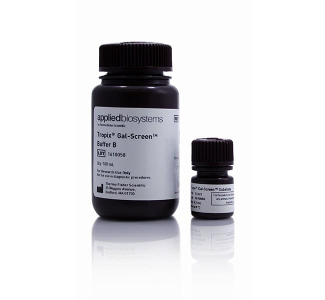 Invitrogen&trade;&nbsp;Gal-Screen&trade; &beta;-Galactosidase Reporter Gene Assay System for Yeast or Mammalian Cells