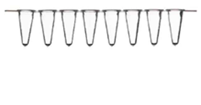 Thermo Scientific™ Low Profile Tubes, strips of 8, Sustain™ Series