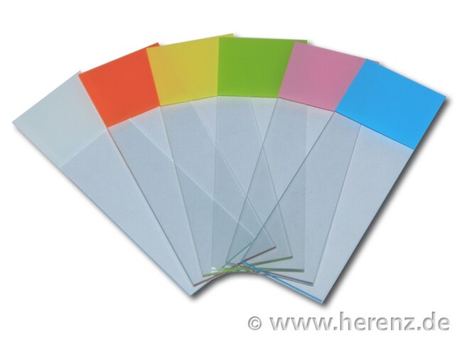 Heinz Herenz Microscope Slides with Purple Writing Field