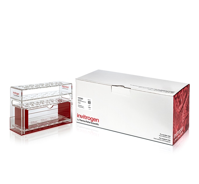 Invitrogen&trade;&nbsp;PureLink&trade; Nucleic Acid Purification Rack