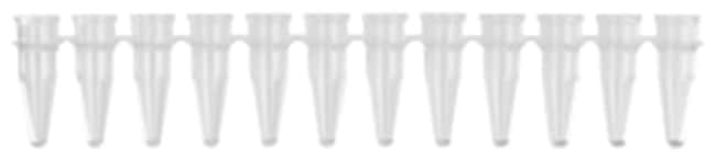 Axygen&trade;&nbsp;Tubes PCR à 12 barrettes