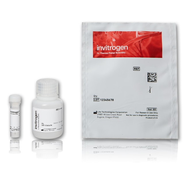 Molecular Probes&trade;&nbsp;Qdot&trade; 585 ITK&trade; Streptavidin Conjugate Kit